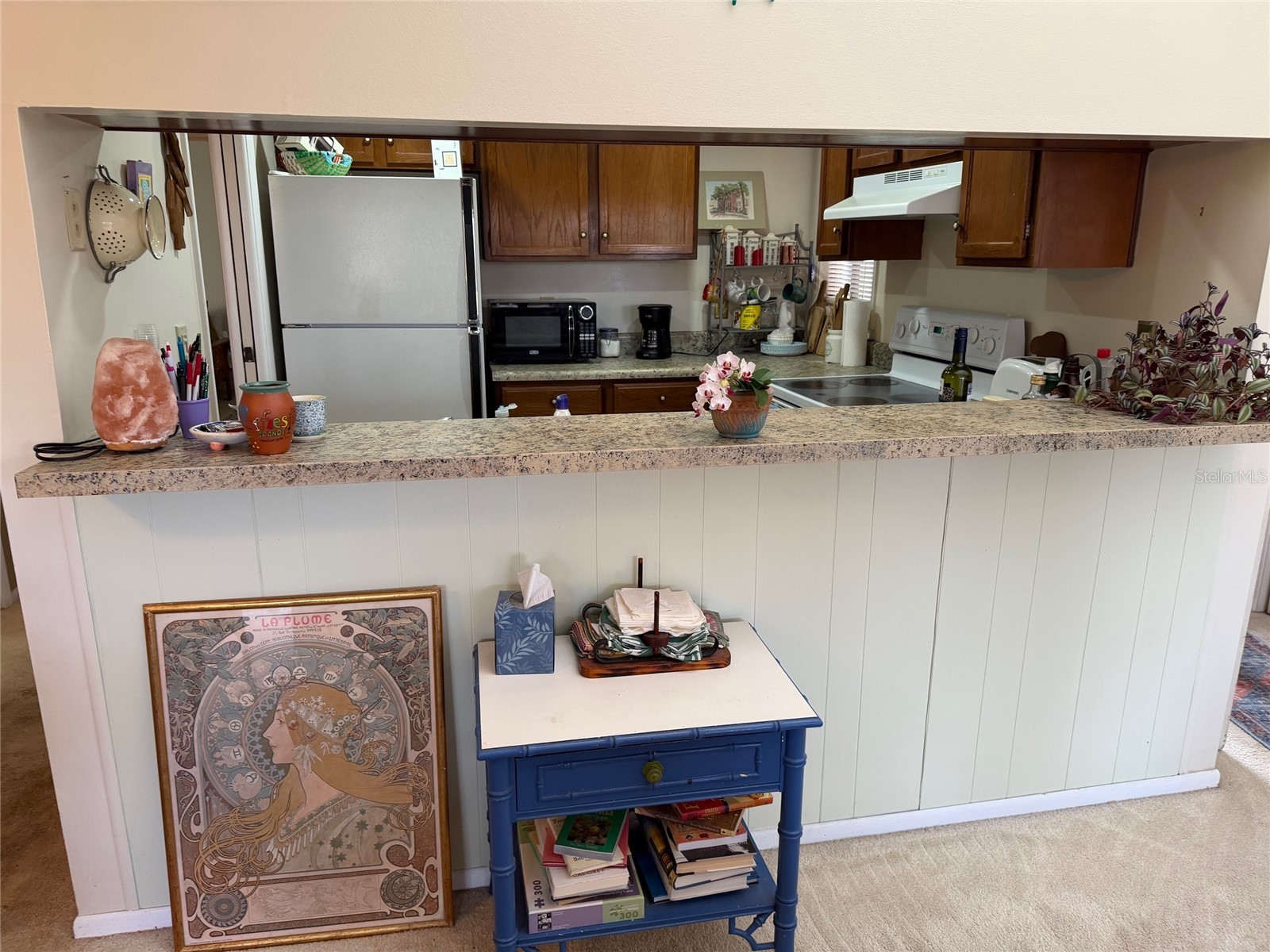 1051 S Highland Street #3D Mount Dora FL 32757 G5108567 image4