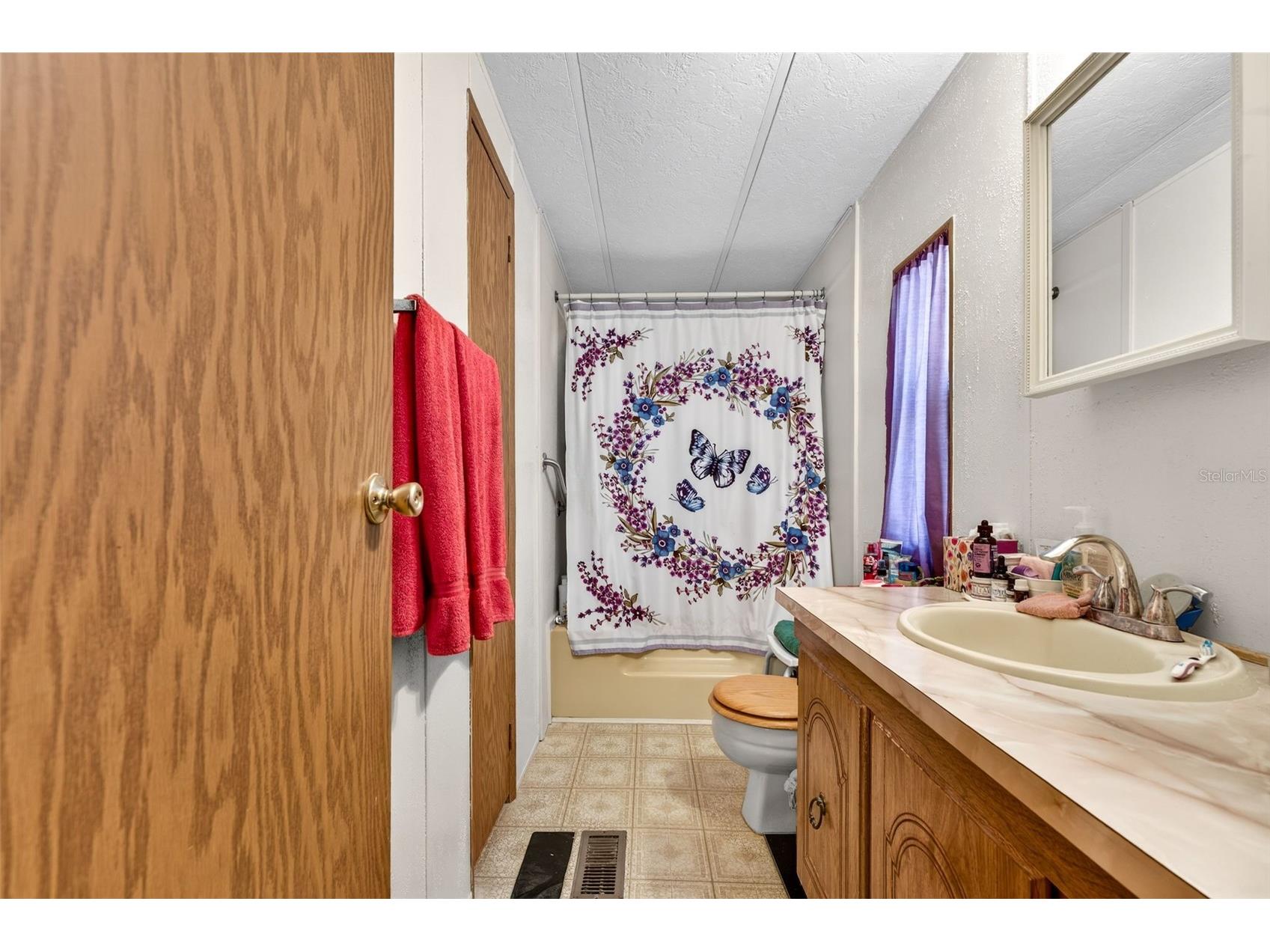 10510 Bay Hills Circle Thonotosassa FL 33592 TB8488523 image10