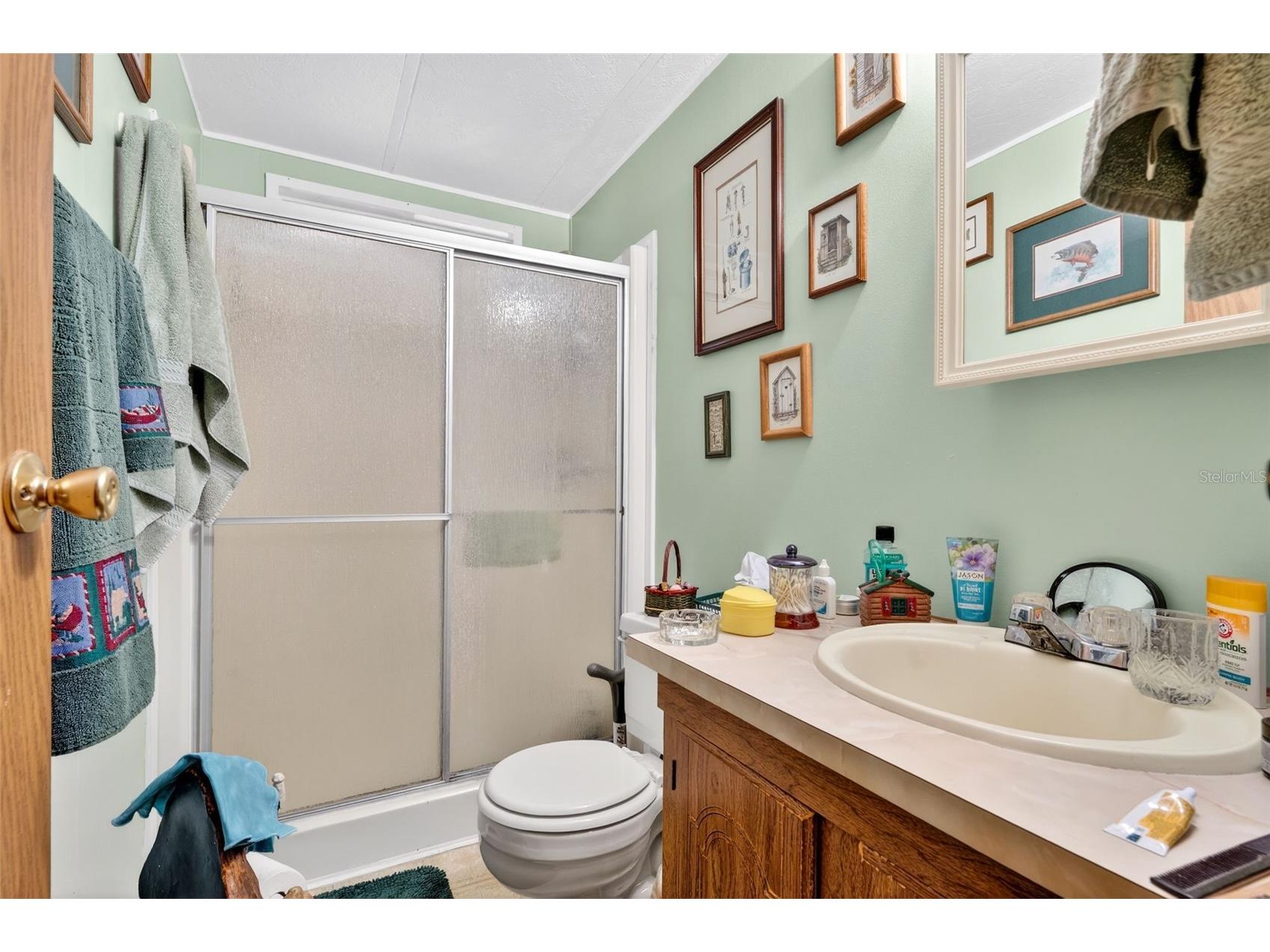 10510 Bay Hills Circle Thonotosassa FL 33592 TB8488523 image12