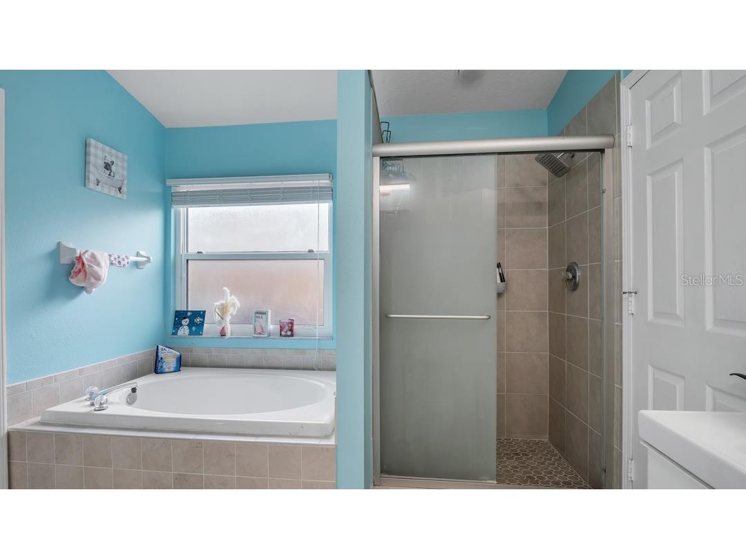 10510 Egret Haven Lane Riverview FL 33578 TB8504051 image21