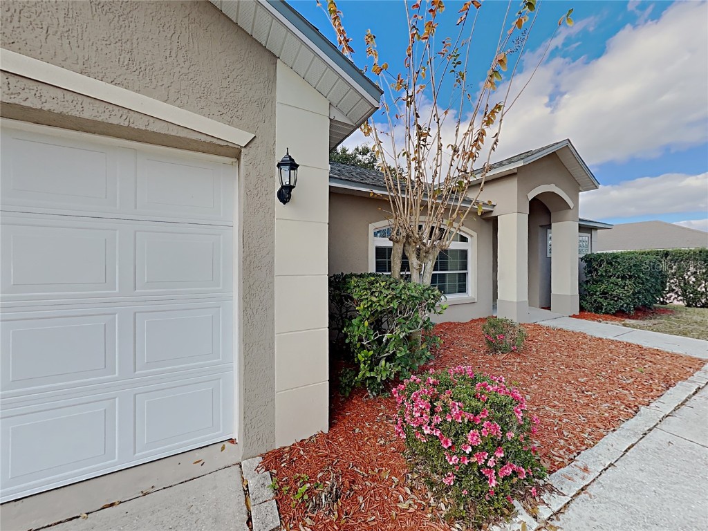 10510 Regal View Loop Clermont FL 34711 O6133118 image1