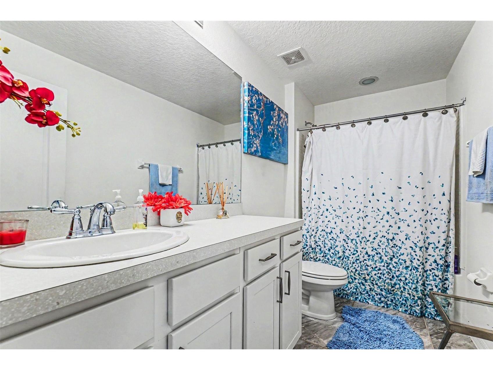10511 Avian Forrest Dr Riverview FL 33578 TB8517093 image16