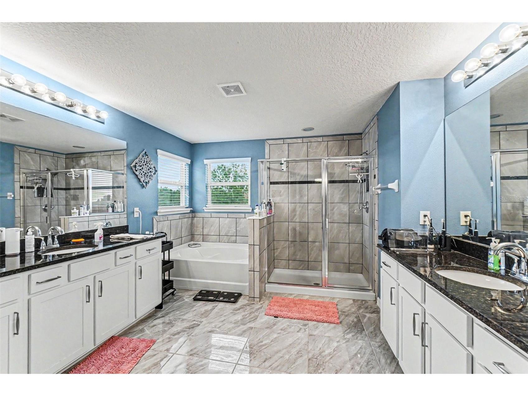 10511 Avian Forrest Dr Riverview FL 33578 TB8517093 image22
