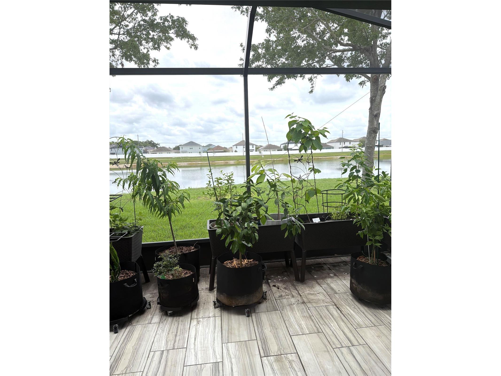 10511 Avian Forrest Dr Riverview FL 33578 TB8517093 image29