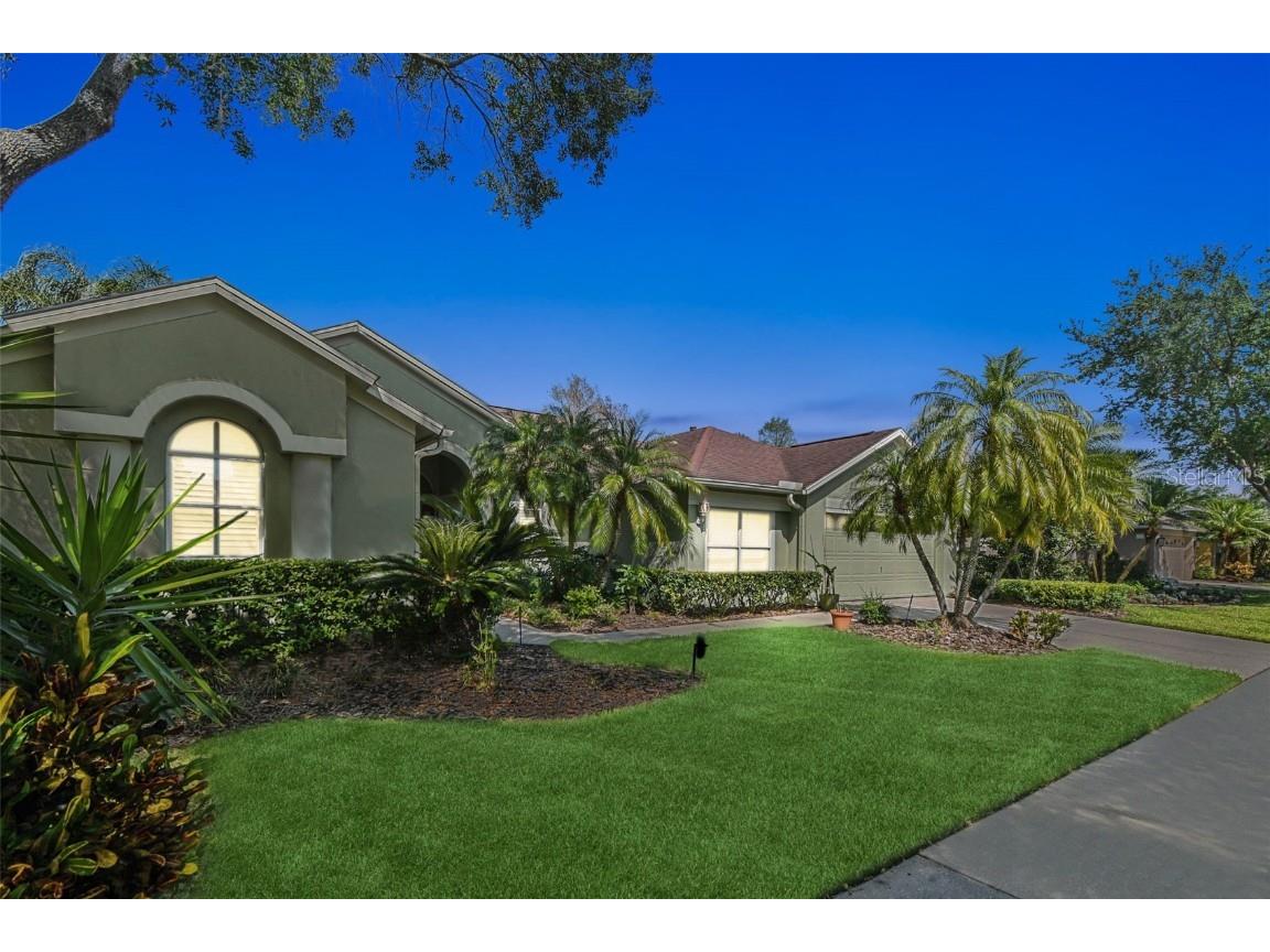 10511 Castleford Way Tampa FL 33626 T3437979 image1