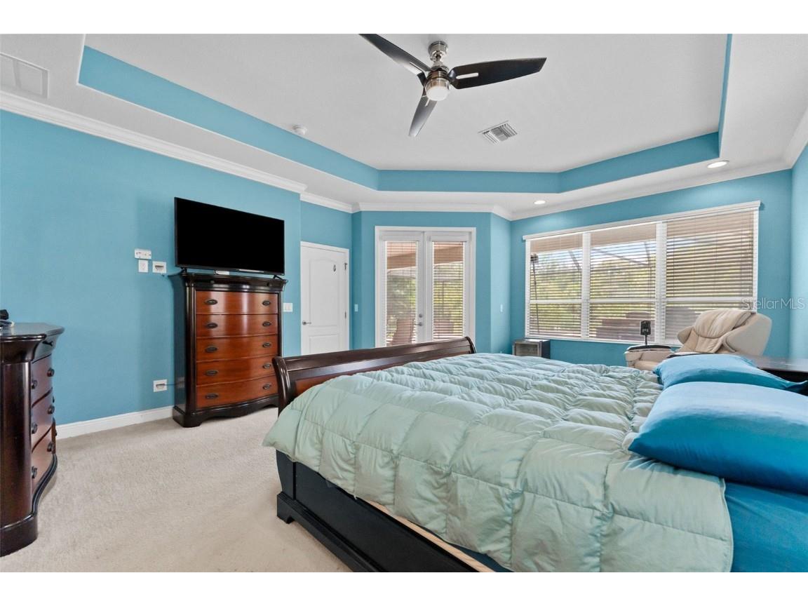 10511 Mistflower Lane Tampa FL 33647 TB8439553 image17