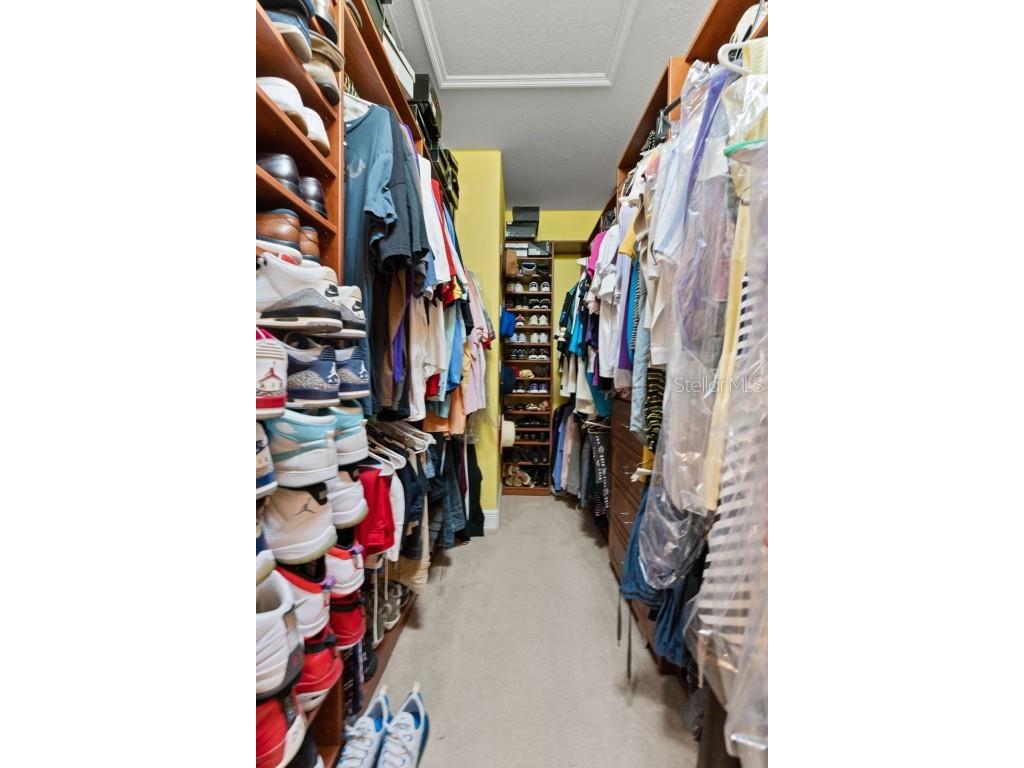 10511 Mistflower Lane Tampa FL 33647 TB8439553 image19