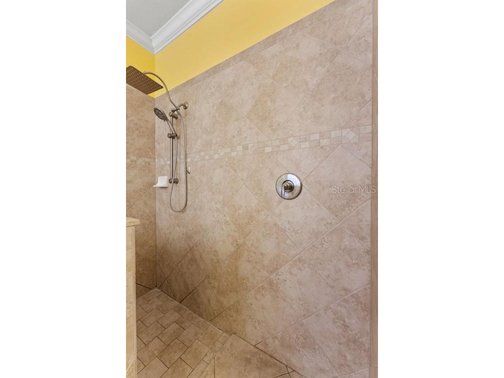 10511 Mistflower Lane Tampa FL 33647 TB8439553 image20