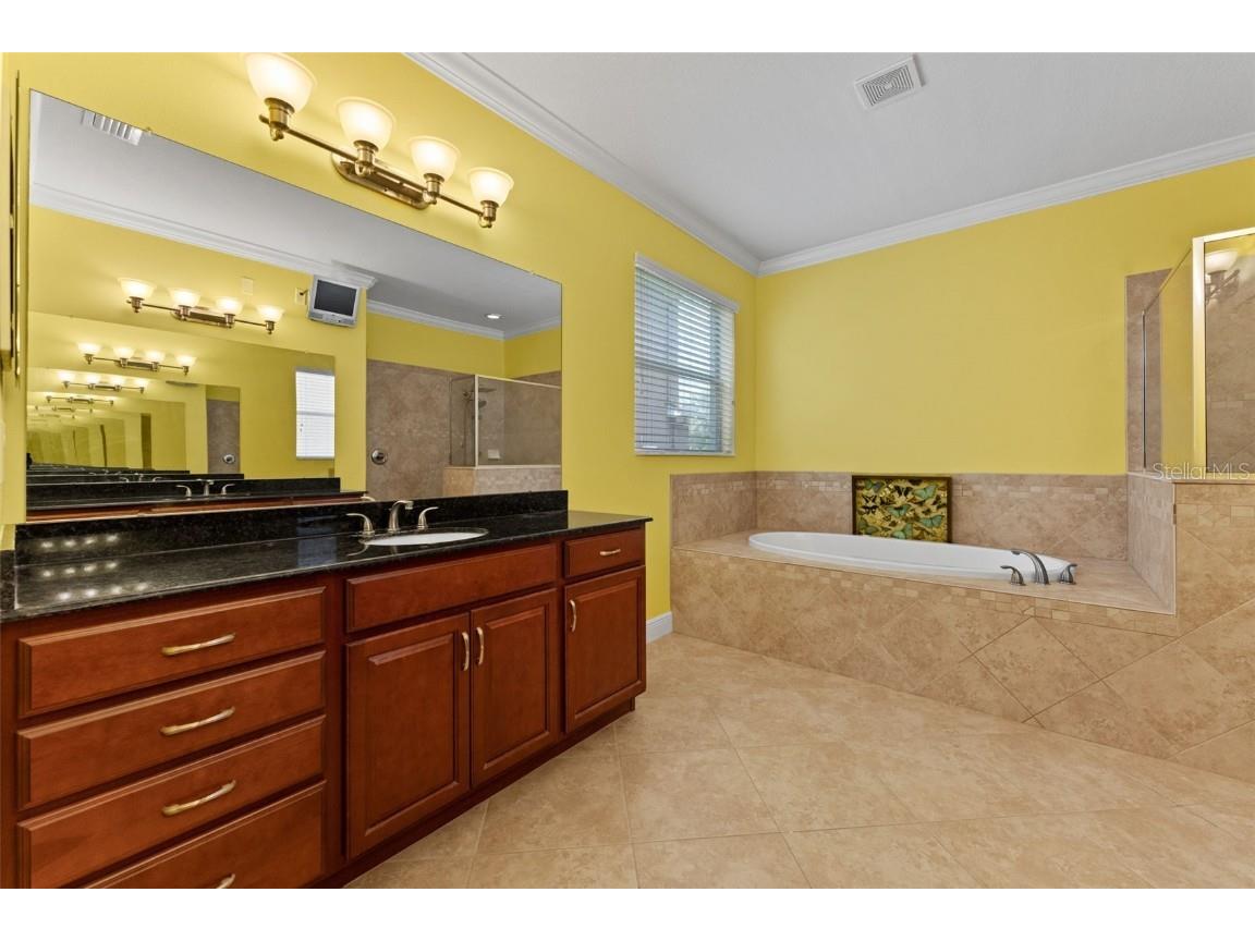 10511 Mistflower Lane Tampa FL 33647 TB8439553 image21