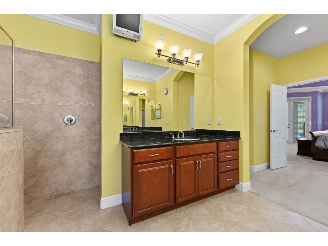 10511 Mistflower Lane Tampa FL 33647 TB8439553 image22