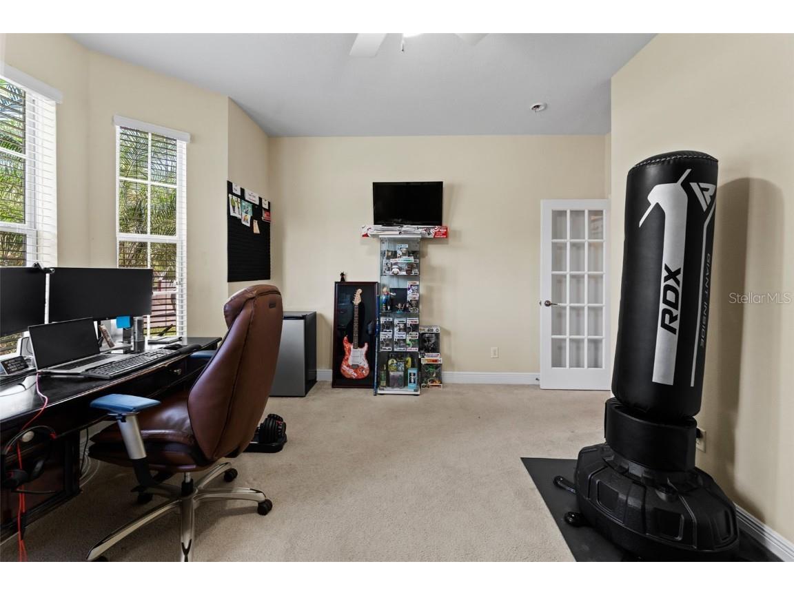 10511 Mistflower Lane Tampa FL 33647 TB8439553 image24