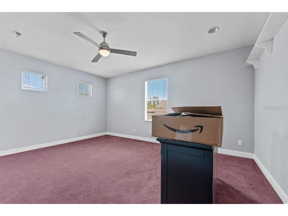 10511 Mistflower Lane Tampa FL 33647 TB8439553 image37