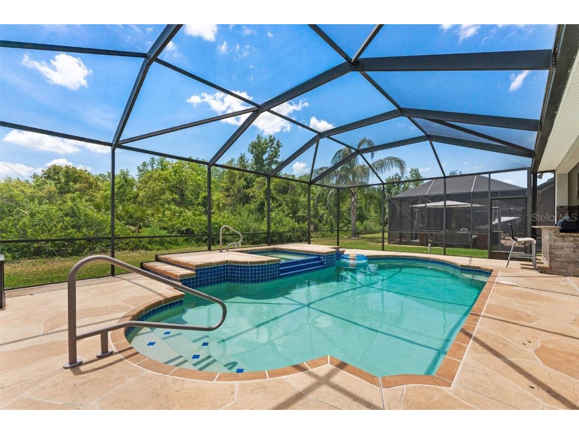 10511 Mistflower Lane Tampa FL 33647 TB8439553 image43