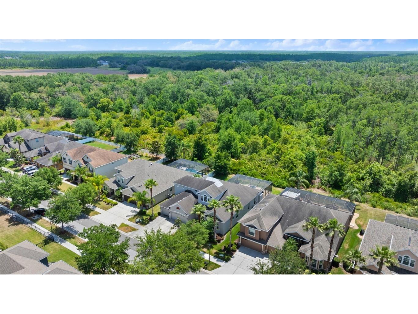 10511 Mistflower Lane Tampa FL 33647 TB8439553 image47