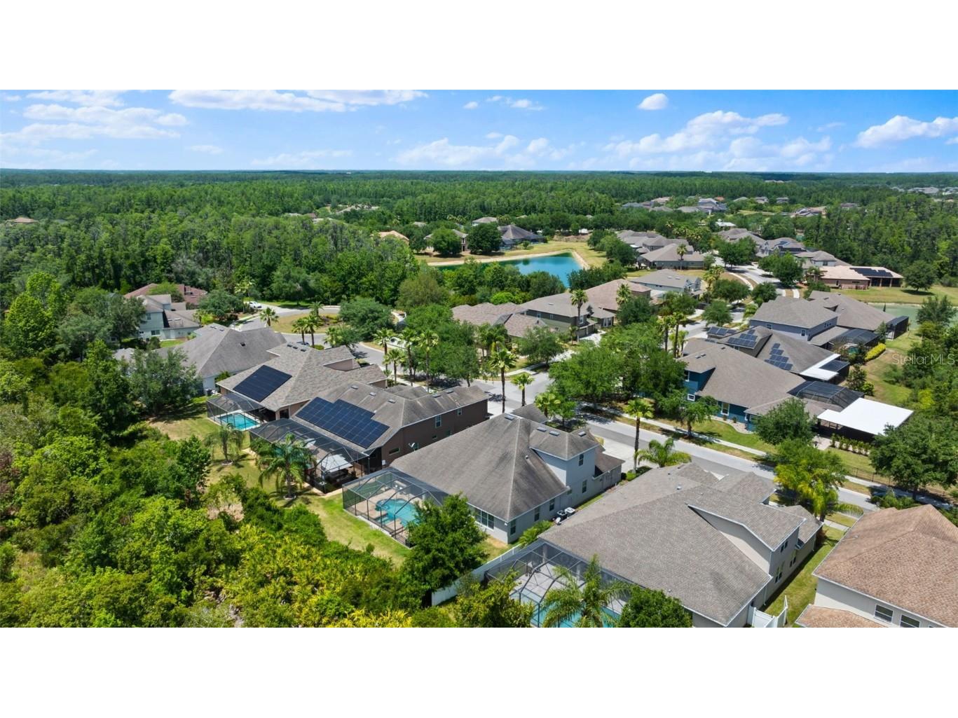 10511 Mistflower Lane Tampa FL 33647 TB8439553 image49