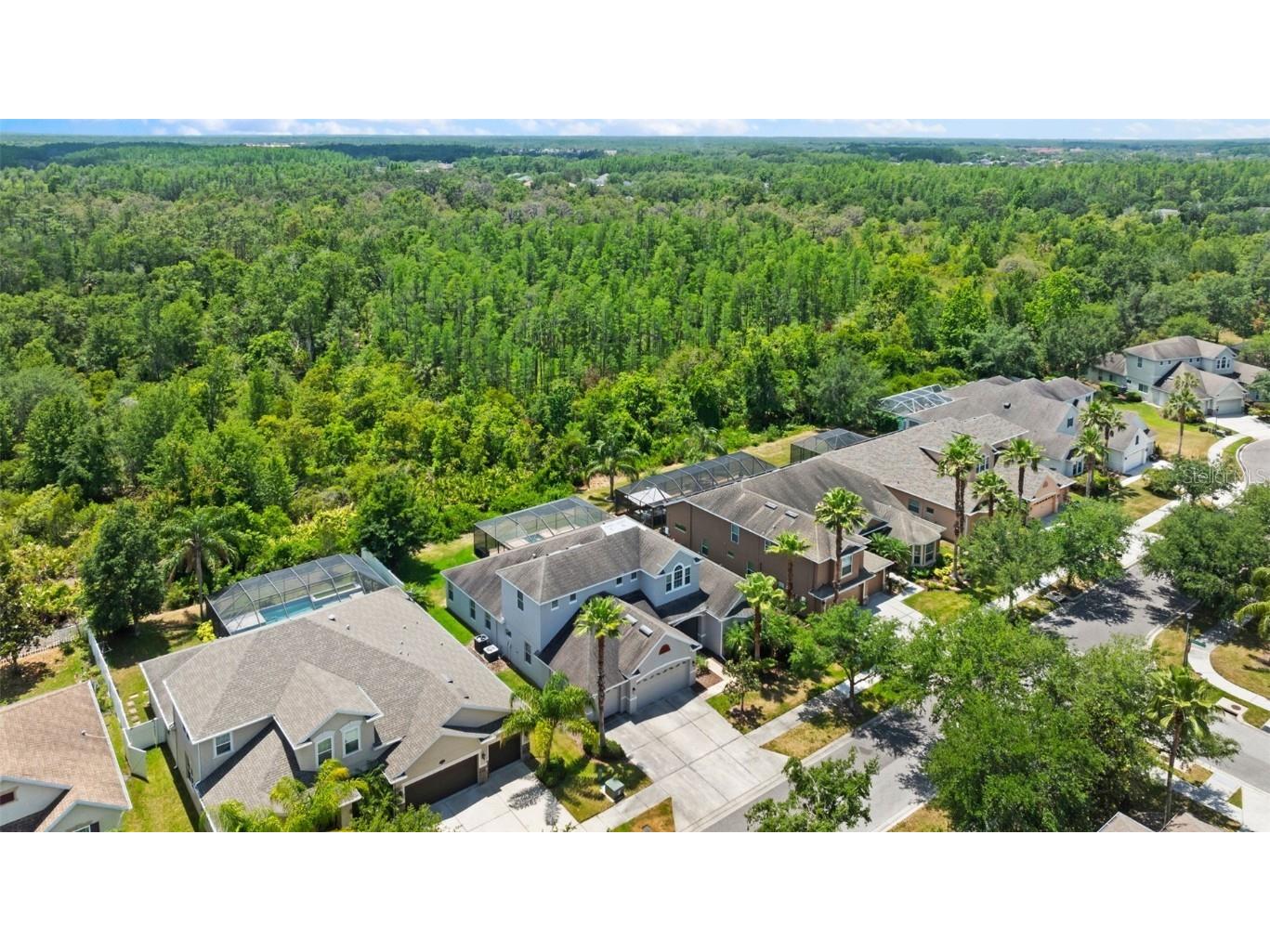 10511 Mistflower Lane Tampa FL 33647 TB8439553 image50