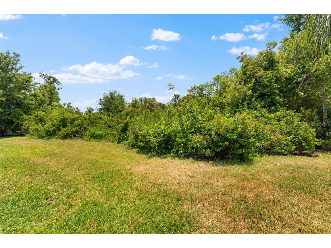 10511 Mistflower Lane Tampa FL 33647 TB8439553 image54