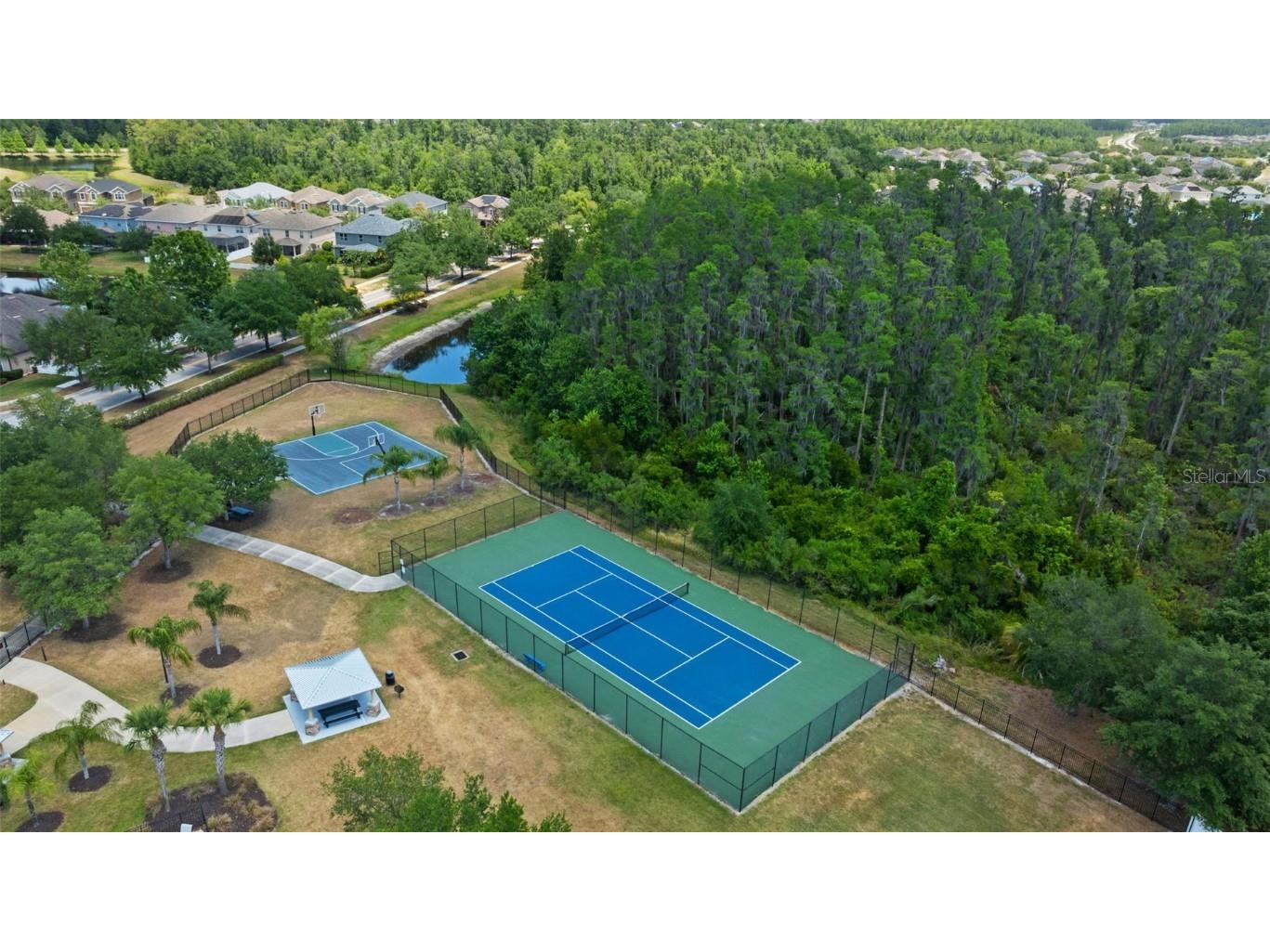 10511 Mistflower Lane Tampa FL 33647 TB8439553 image56