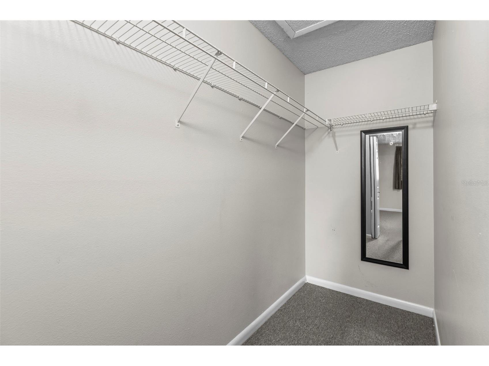 10511 Waterview Court #10511 Tampa FL 33615 TB8388154 image24