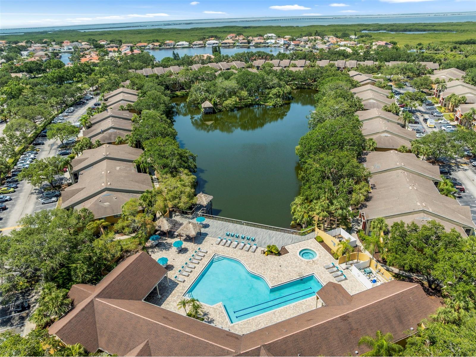 10511 Waterview Court #10511 Tampa FL 33615 TB8388154 image33