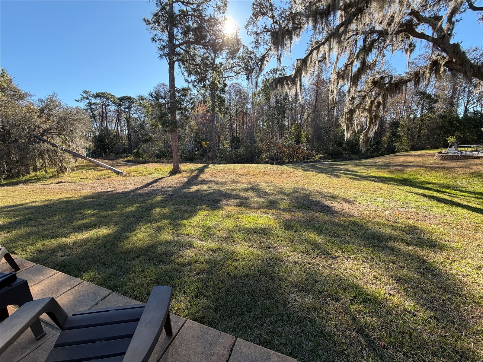 10512 Millriver Drive New Port Richey FL 34654 W7882665 image15