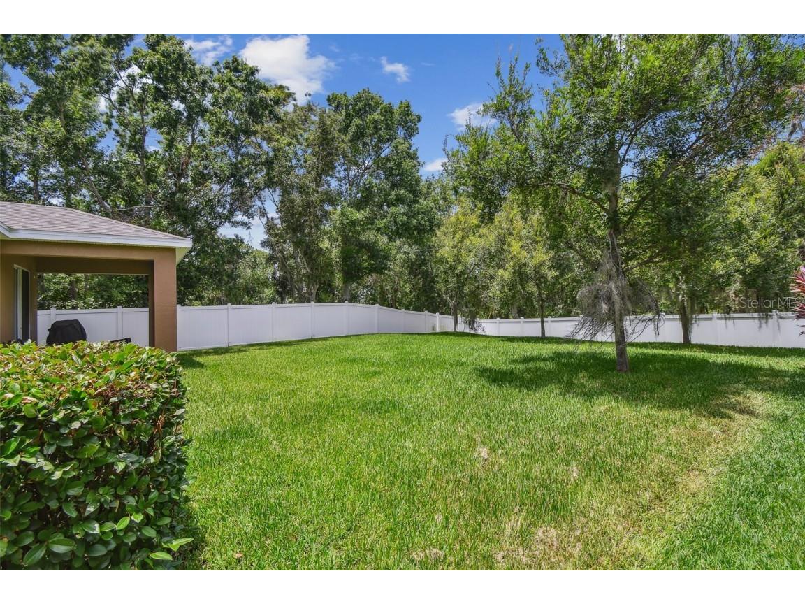 10512 Scenic Hollow Drive Riverview FL 33578 TB8394234 image46