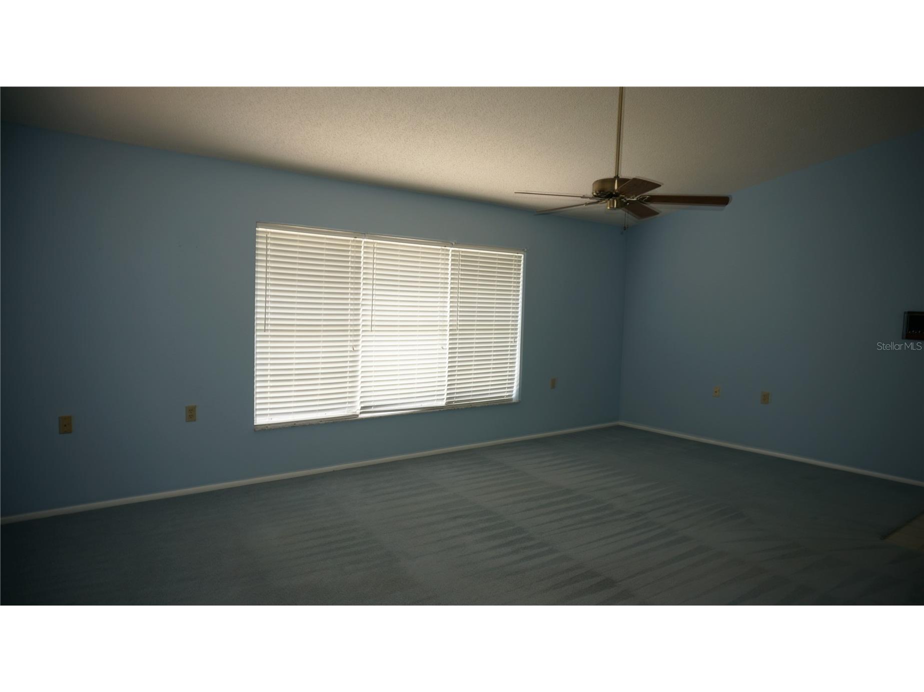 10512 Tapestry Drive Port Richey FL 34668 W7887417 image15