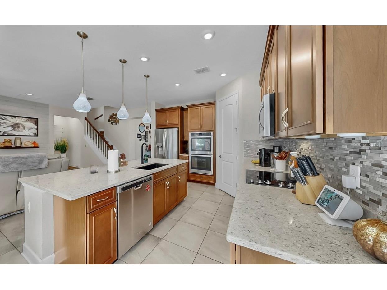 10513 Alcon Blue Drive Riverview FL 33578 TB8427873 image15