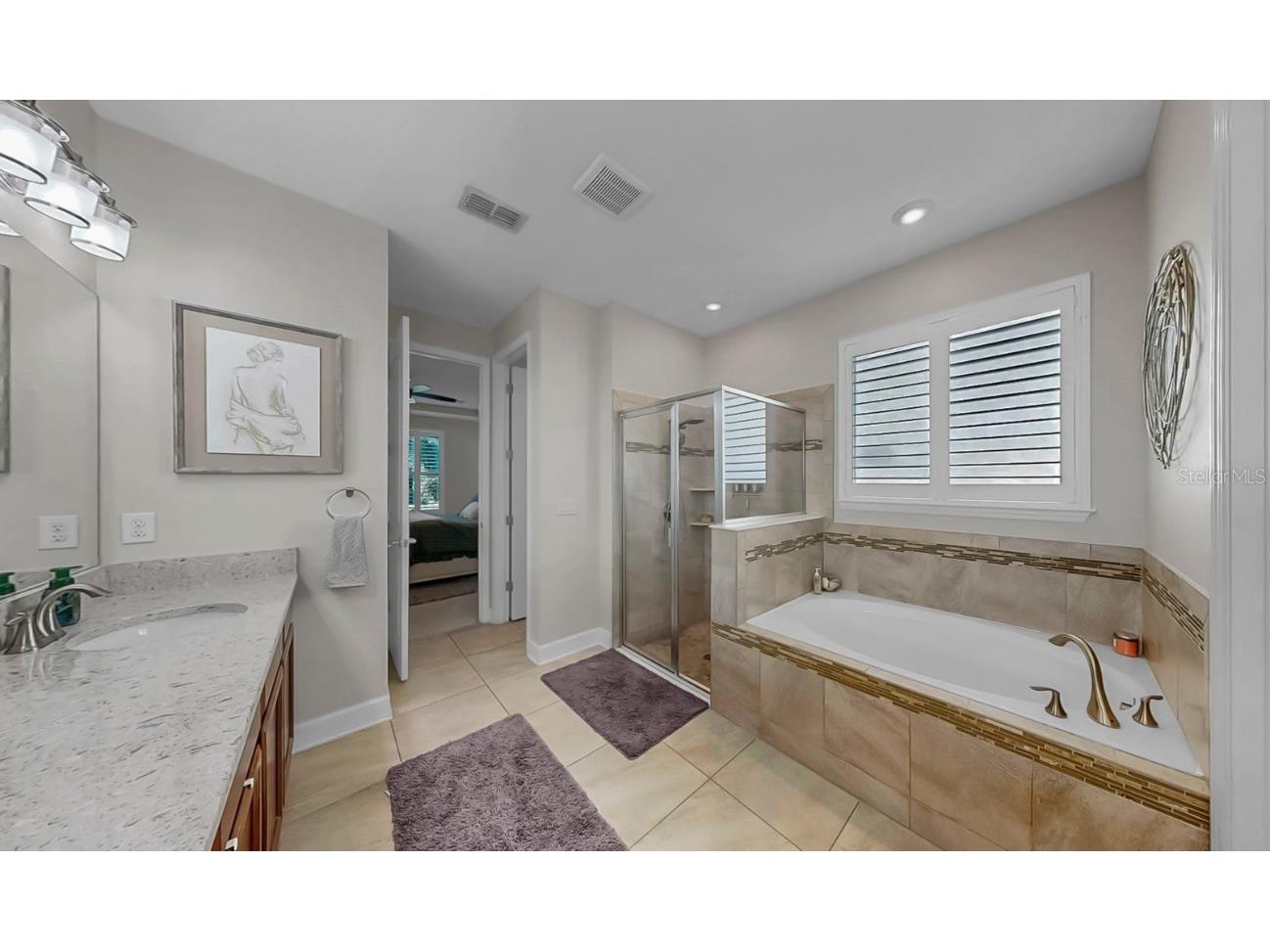 10513 Alcon Blue Drive Riverview FL 33578 TB8427873 image26