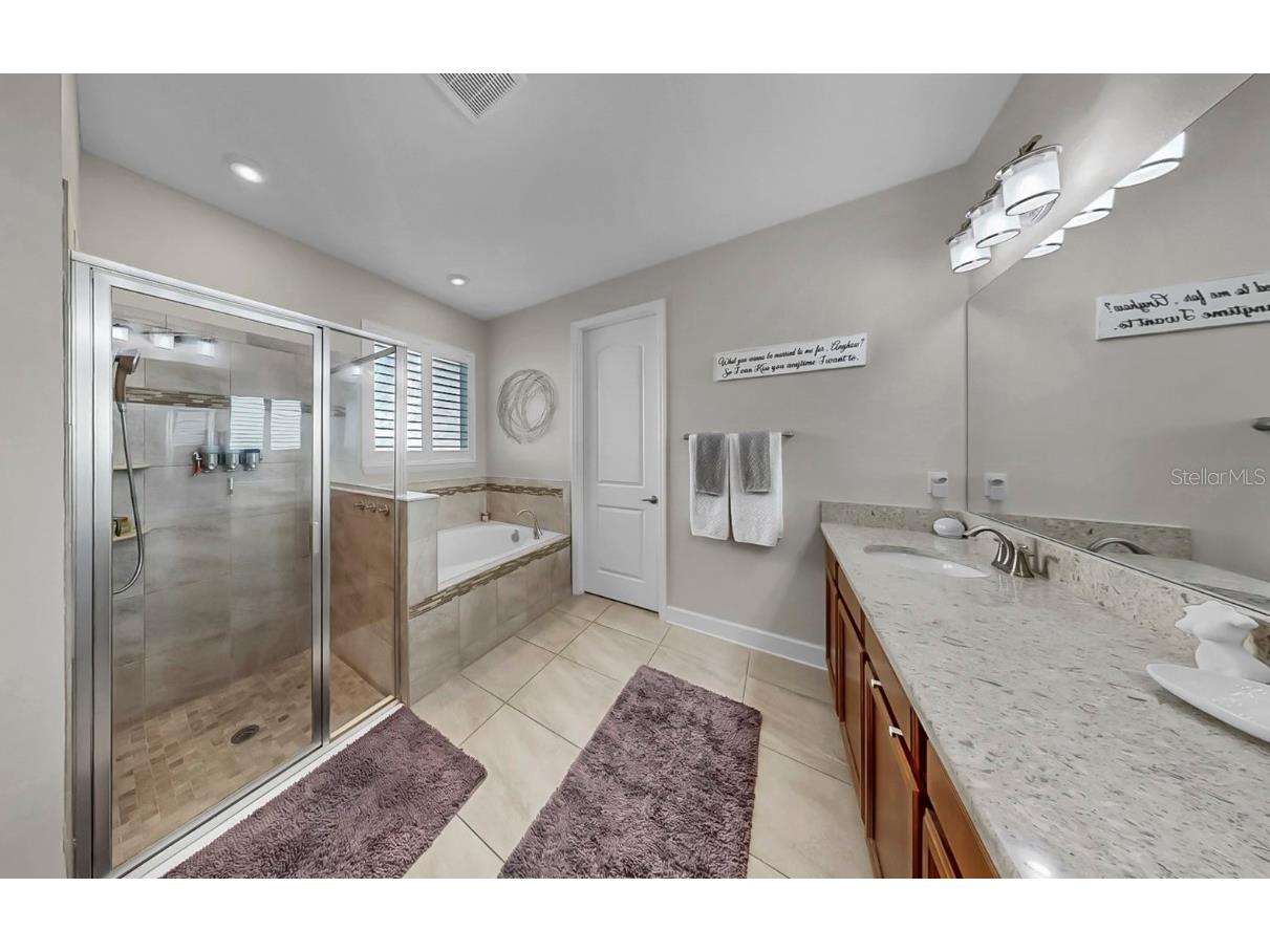 10513 Alcon Blue Drive Riverview FL 33578 TB8427873 image27