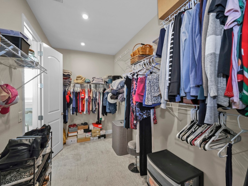 10513 Alcon Blue Drive Riverview FL 33578 TB8427873 image28