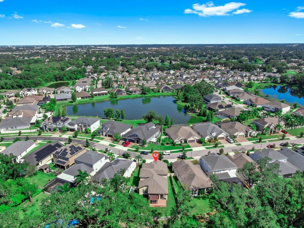 10513 Alcon Blue Drive Riverview FL 33578 TB8427873 image52