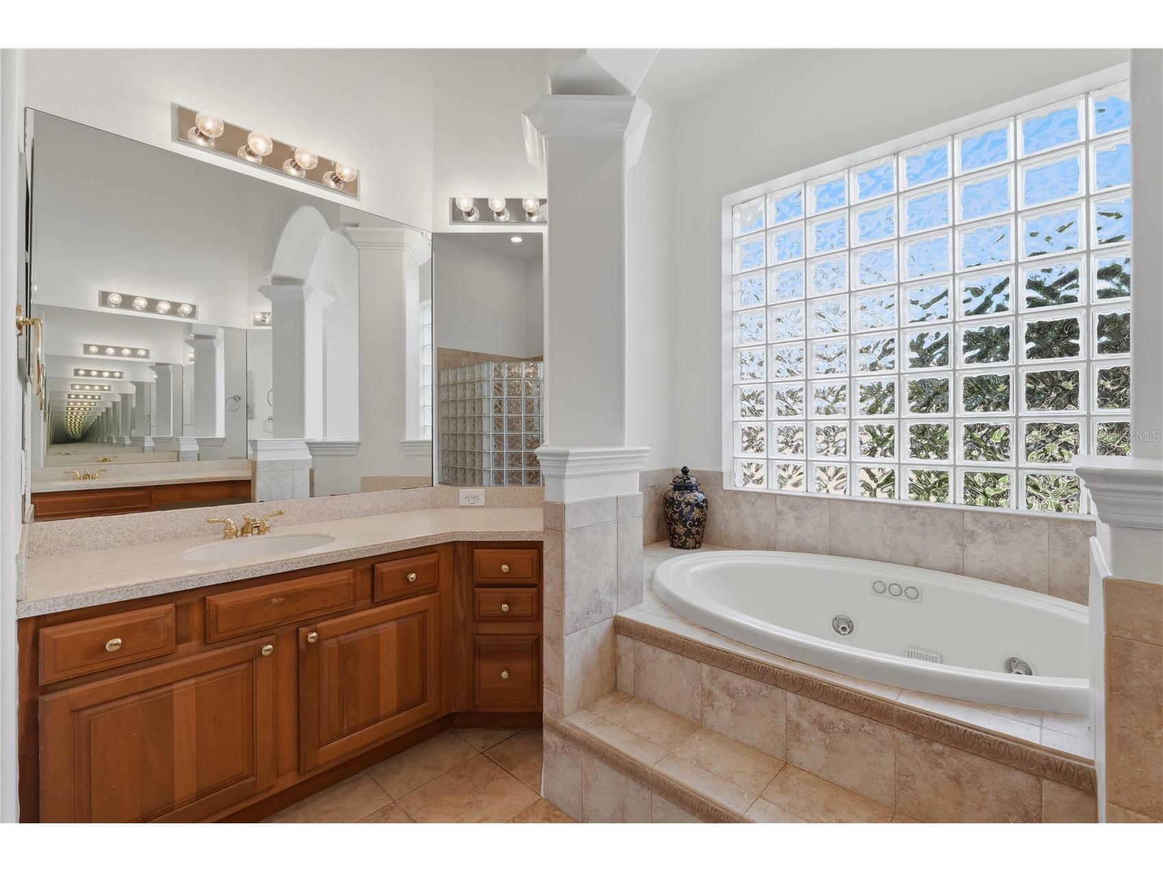10513 Bermuda Isle Drive Tampa FL 33647 TB8493624 image24
