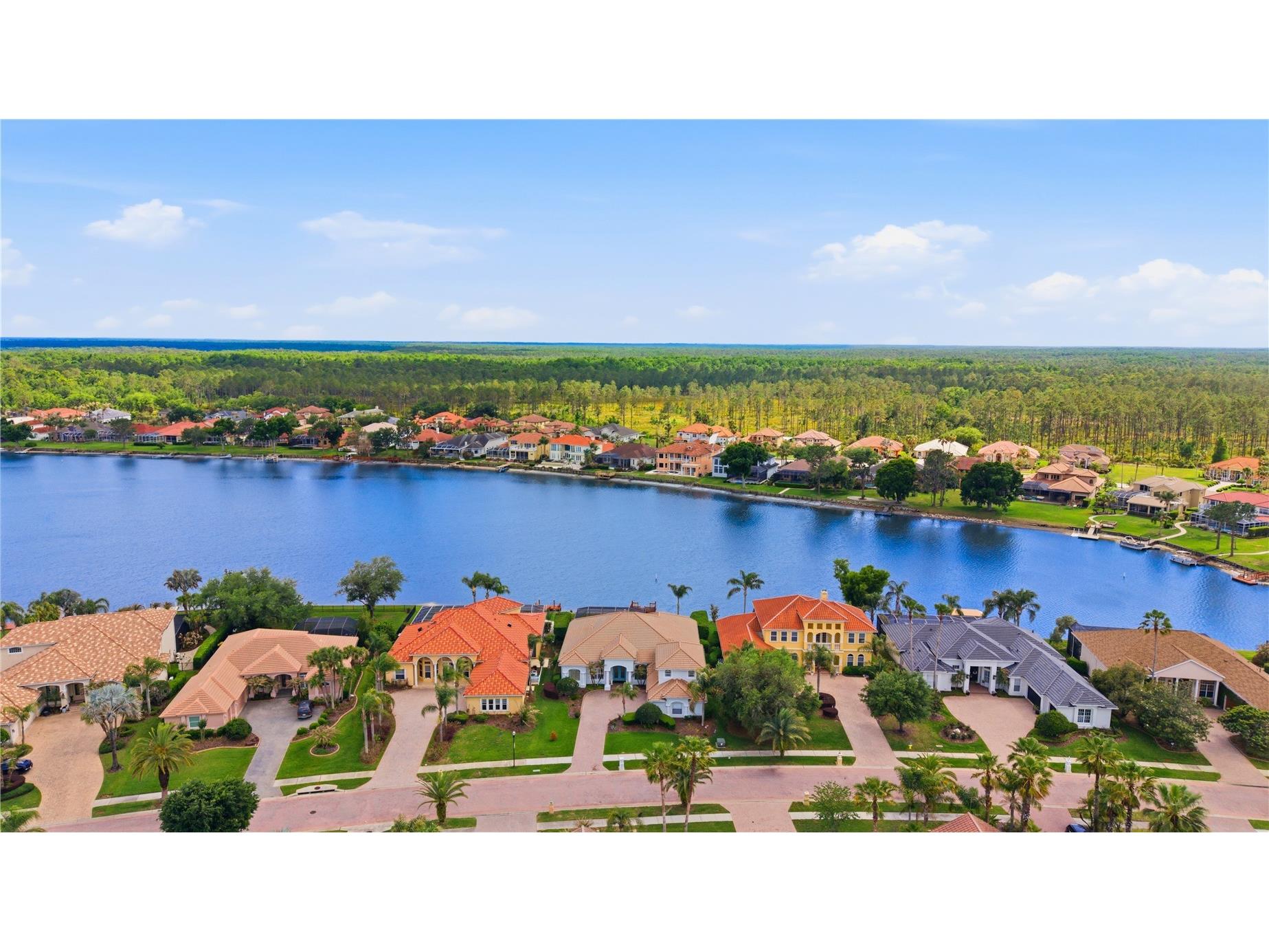 10513 Bermuda Isle Drive Tampa FL 33647 TB8493624 image58
