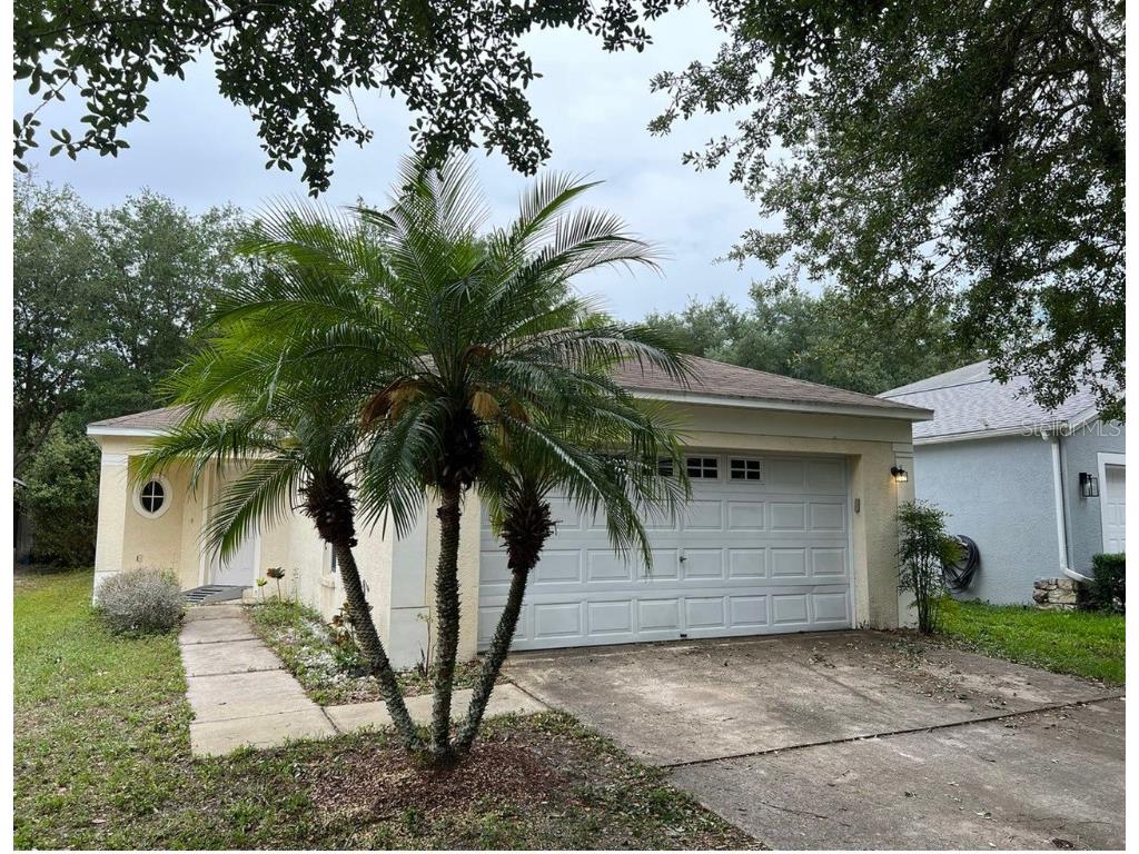 10513 Blackmore Drive Tampa FL 33647 U8199100 image1