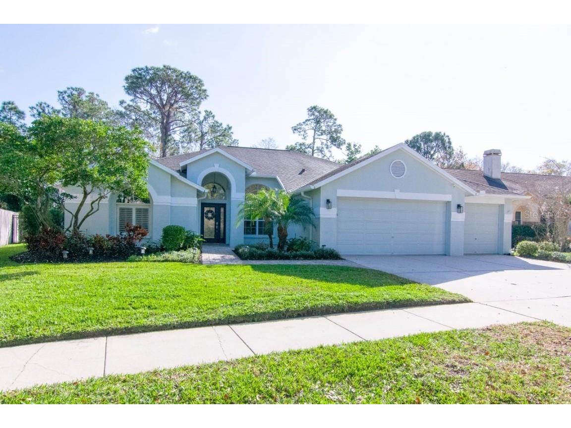 10513 Chambers Drive Tampa FL 33626 T3430259 image1