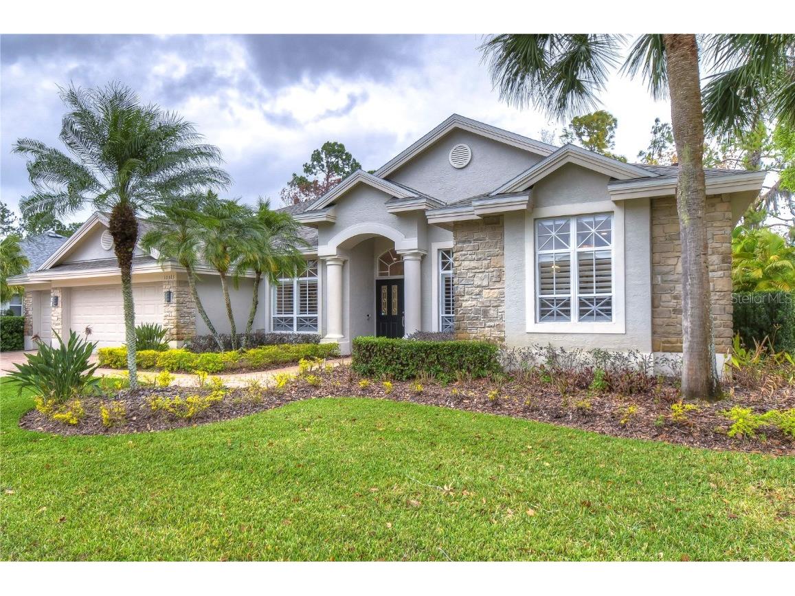 10513 Greensprings Drive Tampa FL 33626 T3447513 image1
