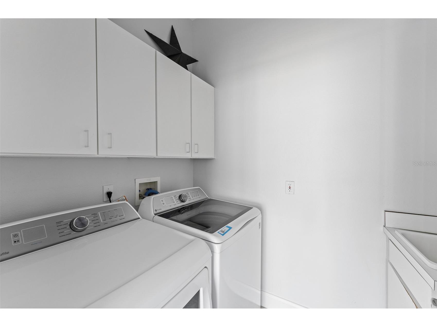 10513 Holly Crest Drive Orlando FL 32836 O6415072 image27