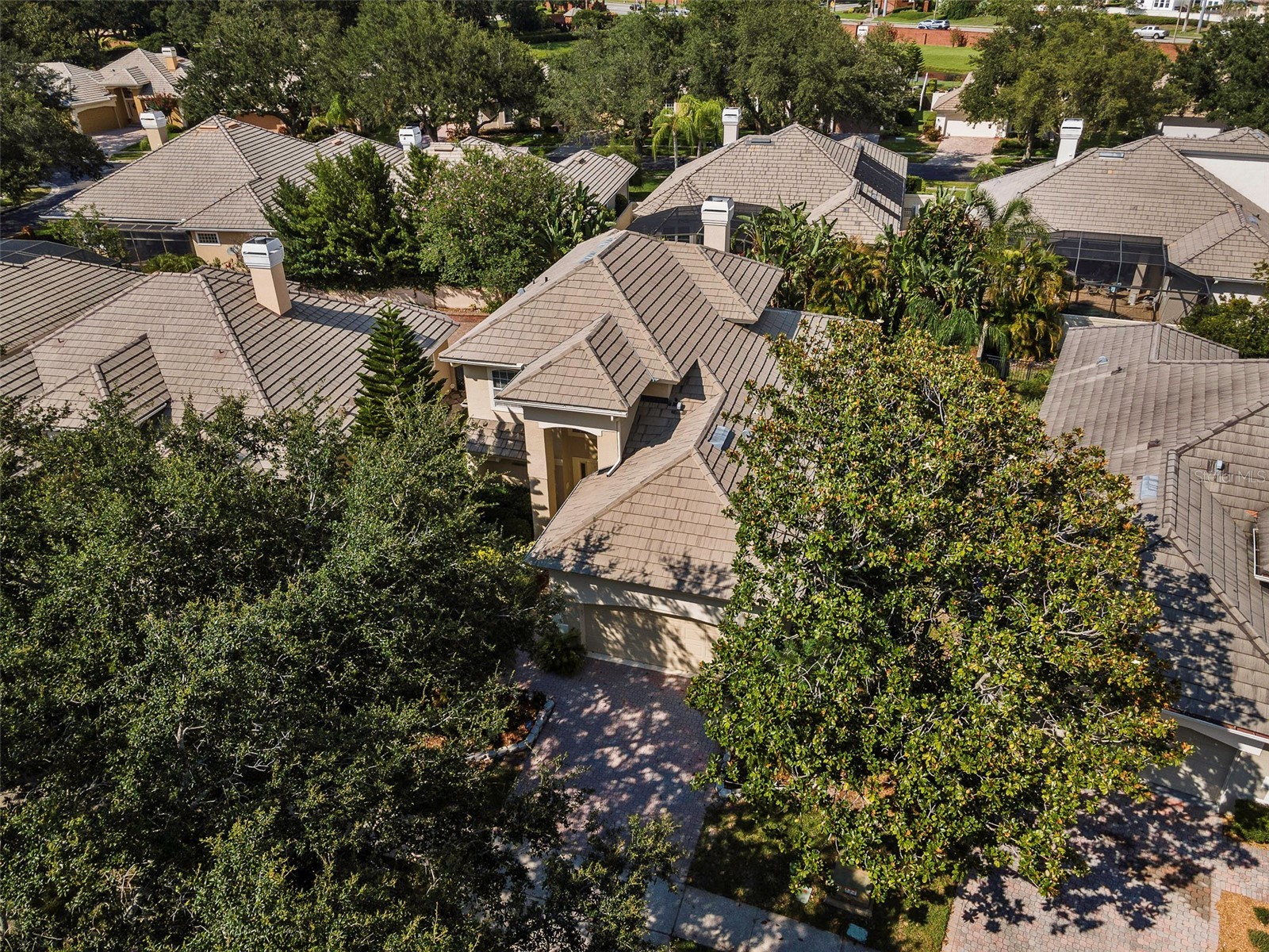 10513 Holly Crest Drive Orlando FL 32836 O6415072 image3