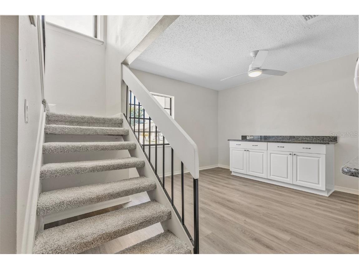 10513 Parkcrest Drive Tampa FL 33624 TB8409632 image21