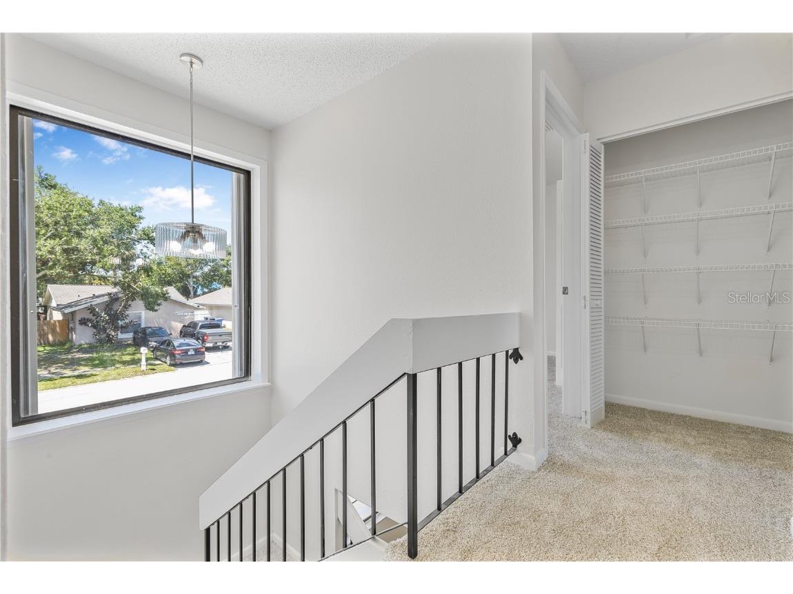 10513 Parkcrest Drive Tampa FL 33624 TB8409632 image22