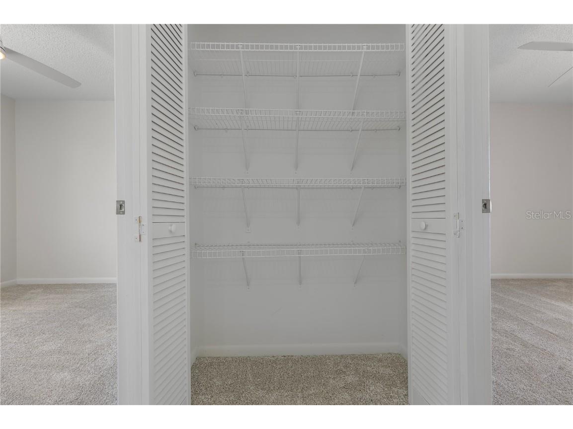 10513 Parkcrest Drive Tampa FL 33624 TB8409632 image26