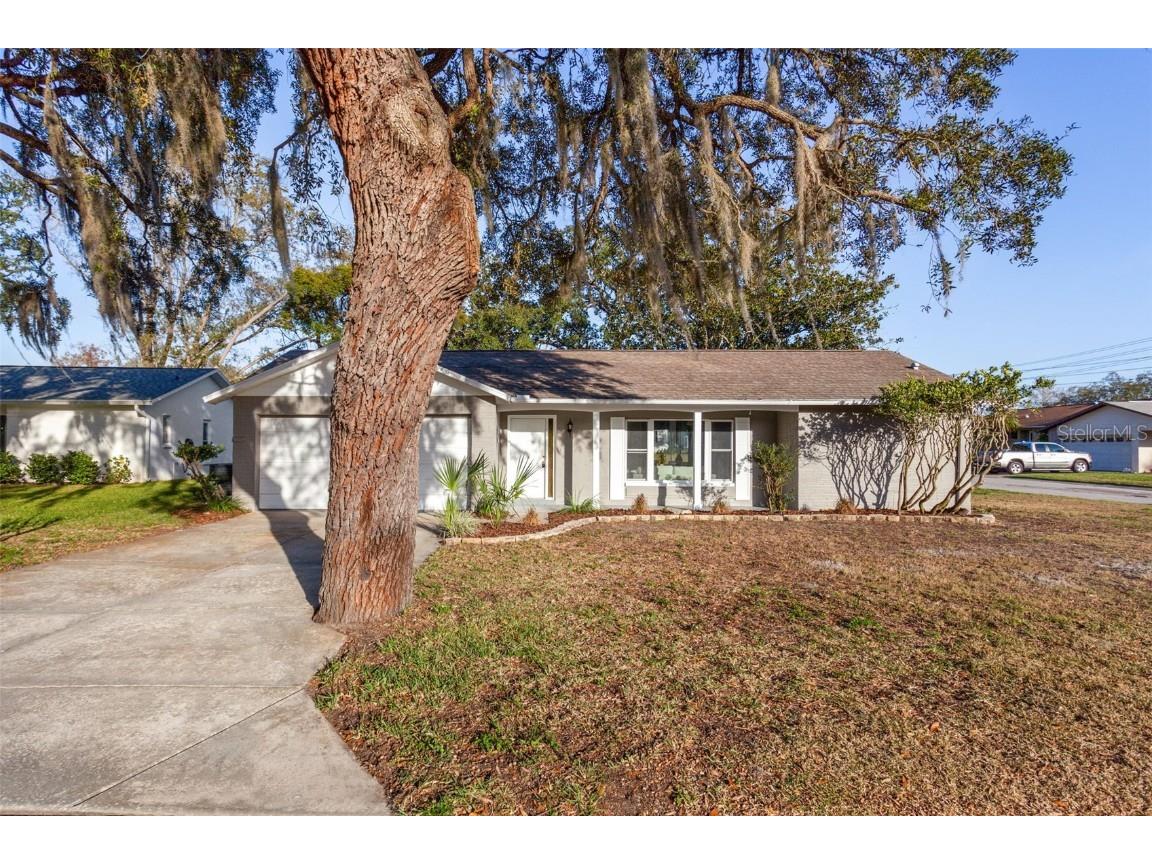 10514 Calico Loop Port Richey FL 34668 T3427901 image1