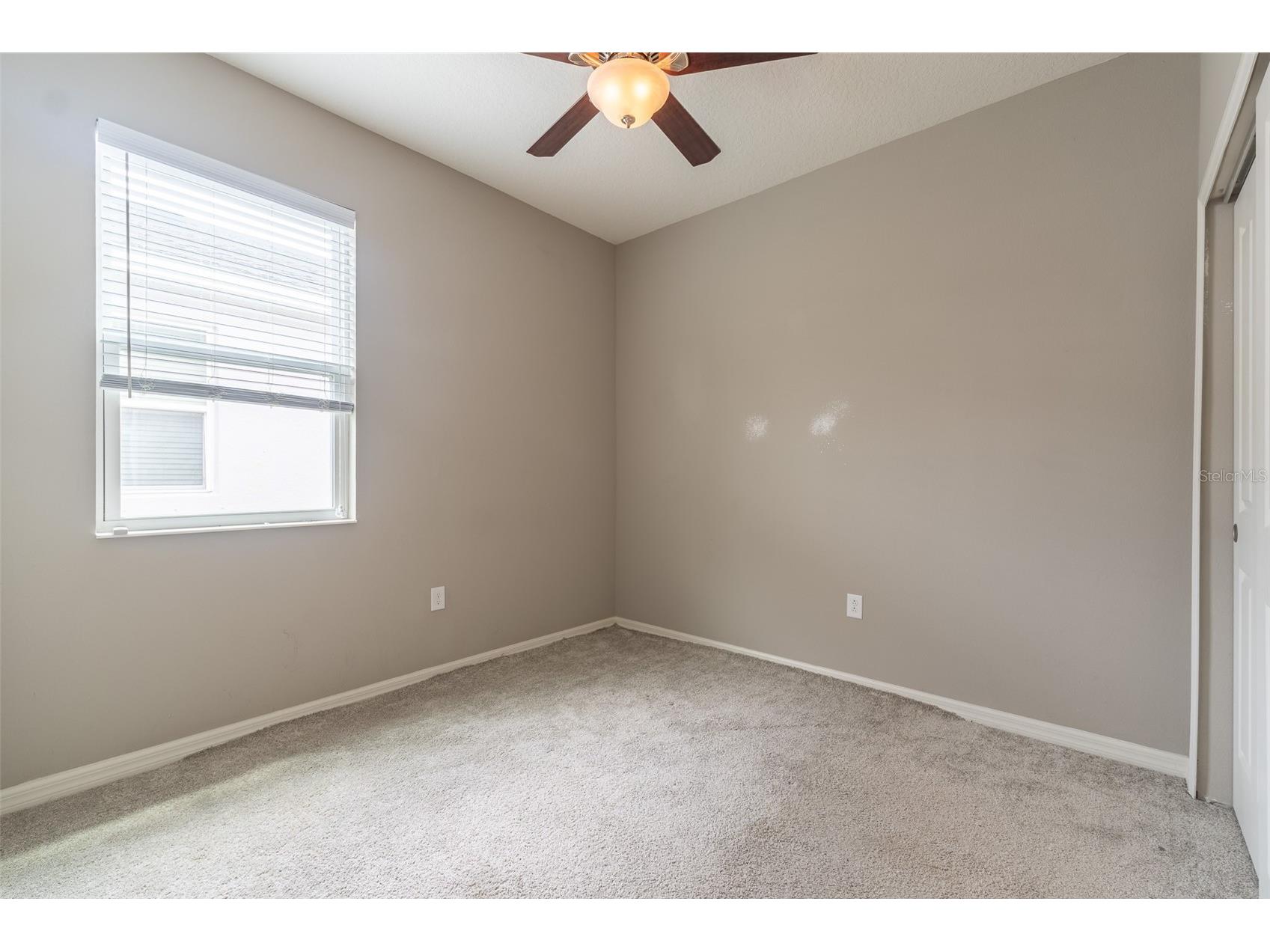 10514 Medford Lake Drive Riverview FL 33578 TB8509041 image11