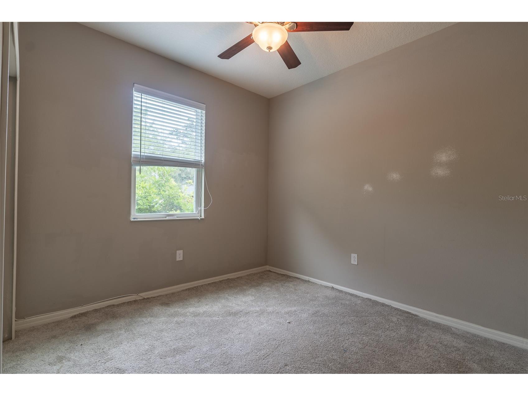 10514 Medford Lake Drive Riverview FL 33578 TB8509041 image13