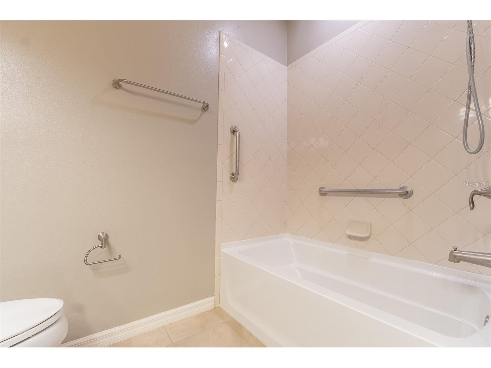 10514 Medford Lake Drive Riverview FL 33578 TB8509041 image14