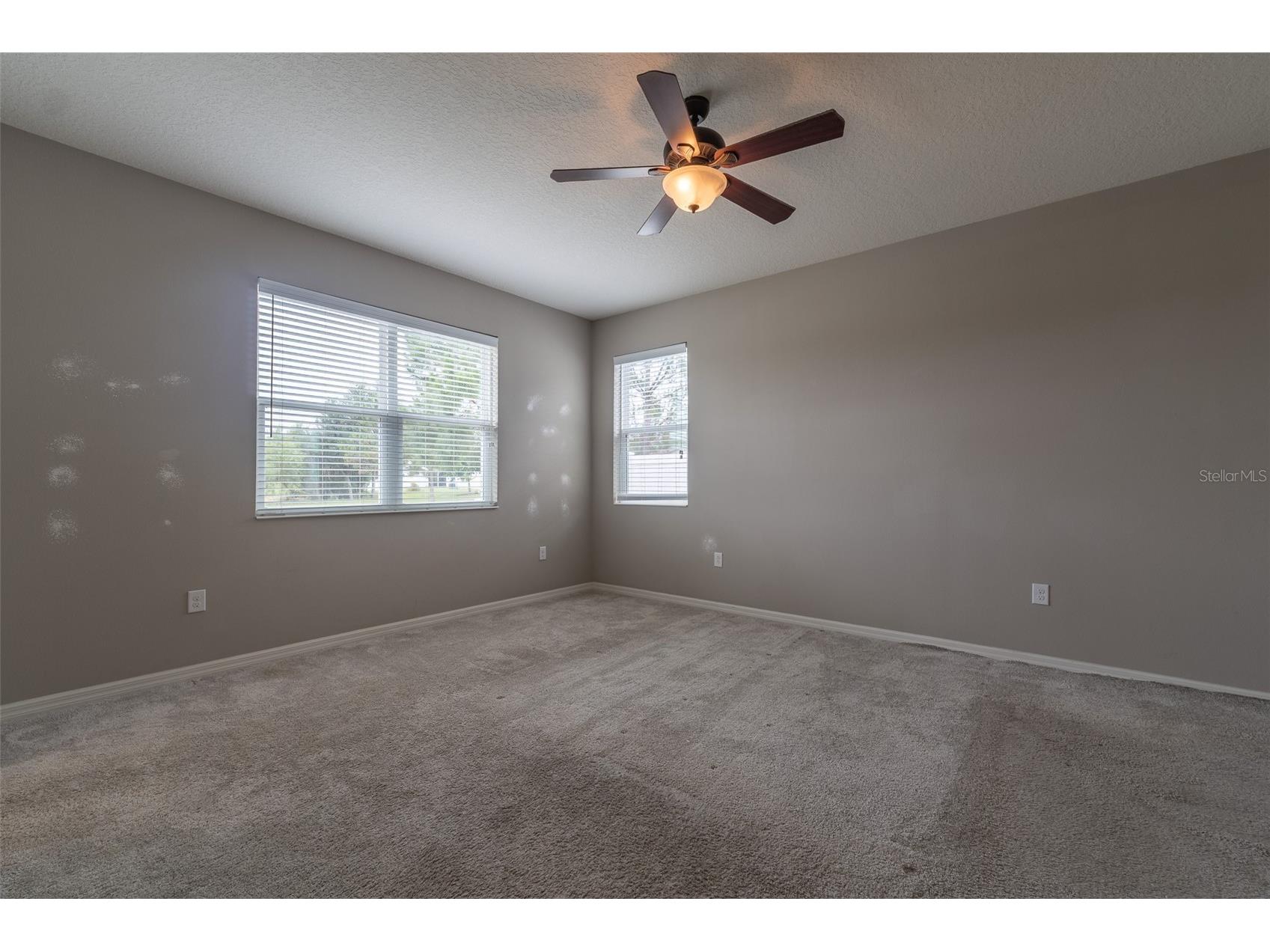 10514 Medford Lake Drive Riverview FL 33578 TB8509041 image17