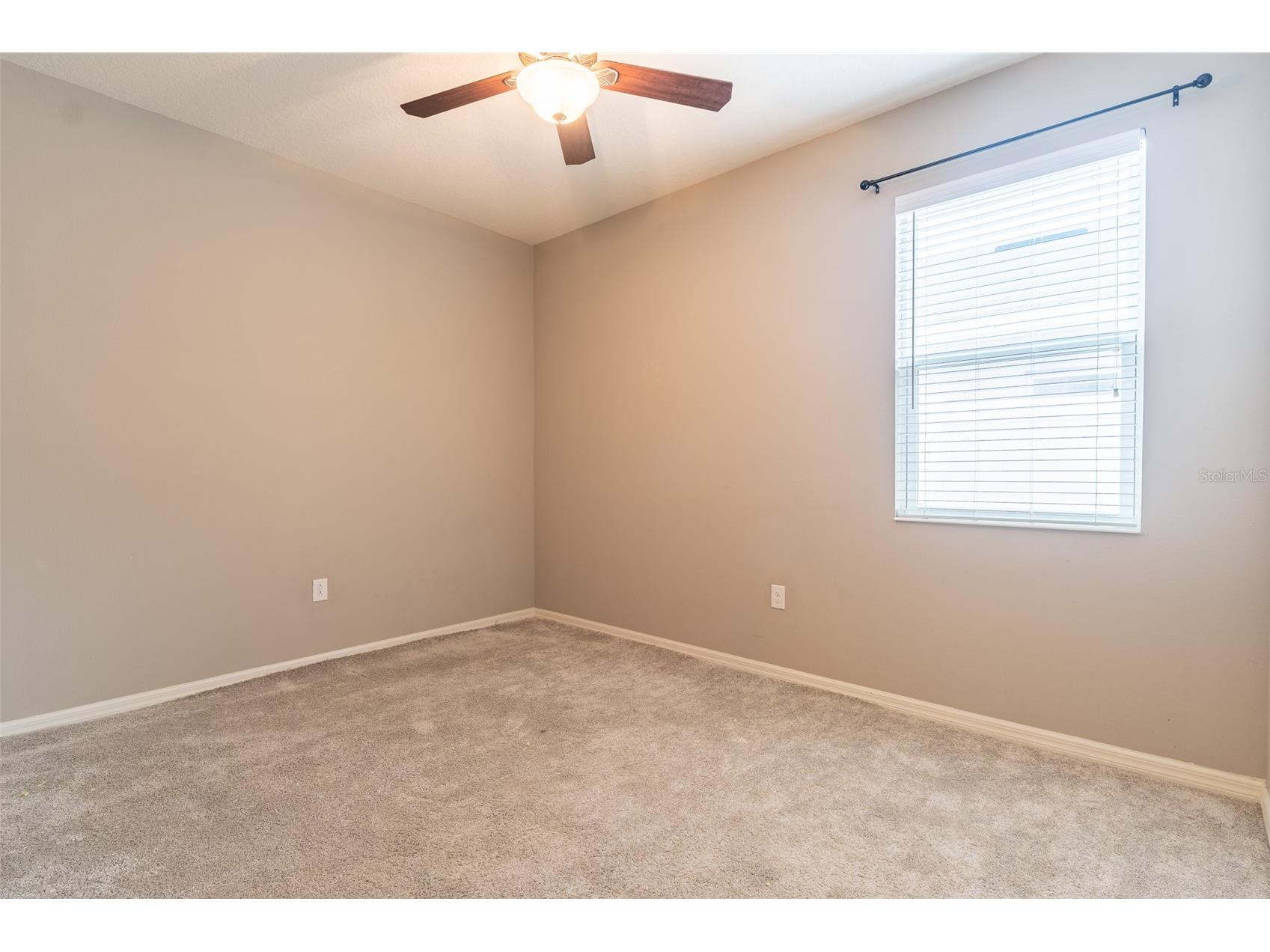 10514 Medford Lake Drive Riverview FL 33578 TB8509041 image20