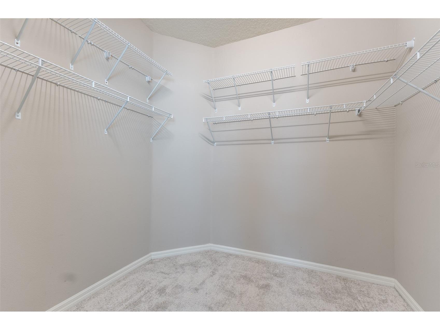10514 Medford Lake Drive Riverview FL 33578 TB8509041 image23