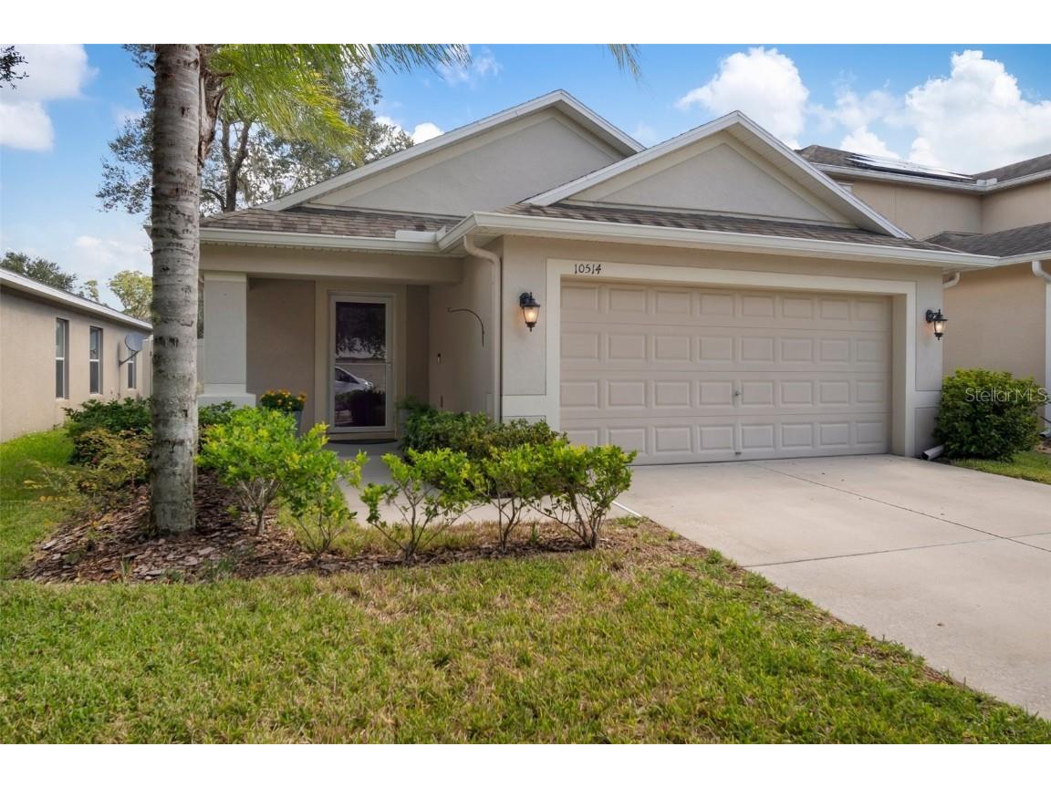10514 White Peacock Place Riverview FL 33578 T3481532 image1